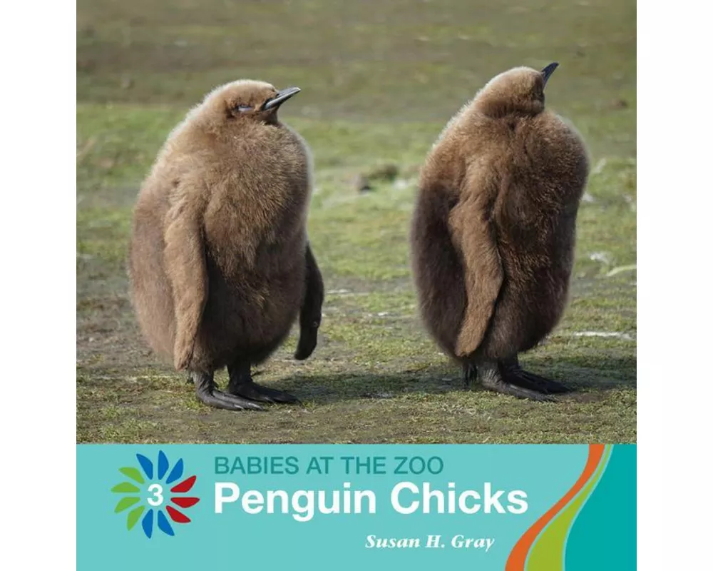 Penguin Chicks
