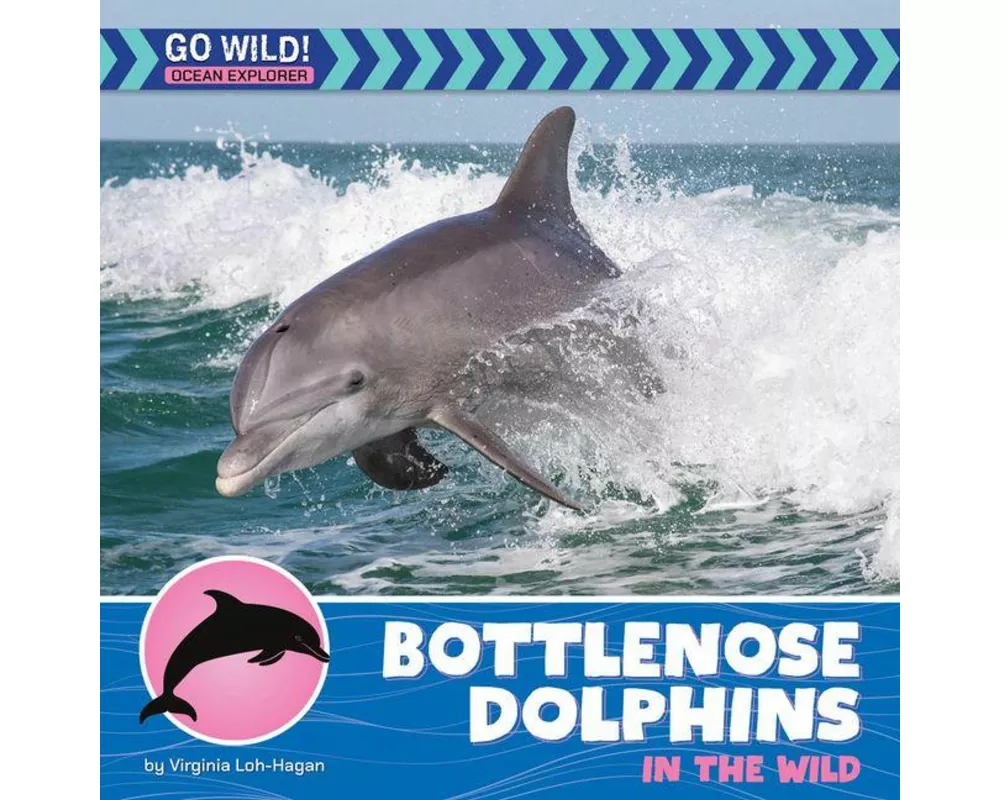 Bottlenose Dolphins in the Wild