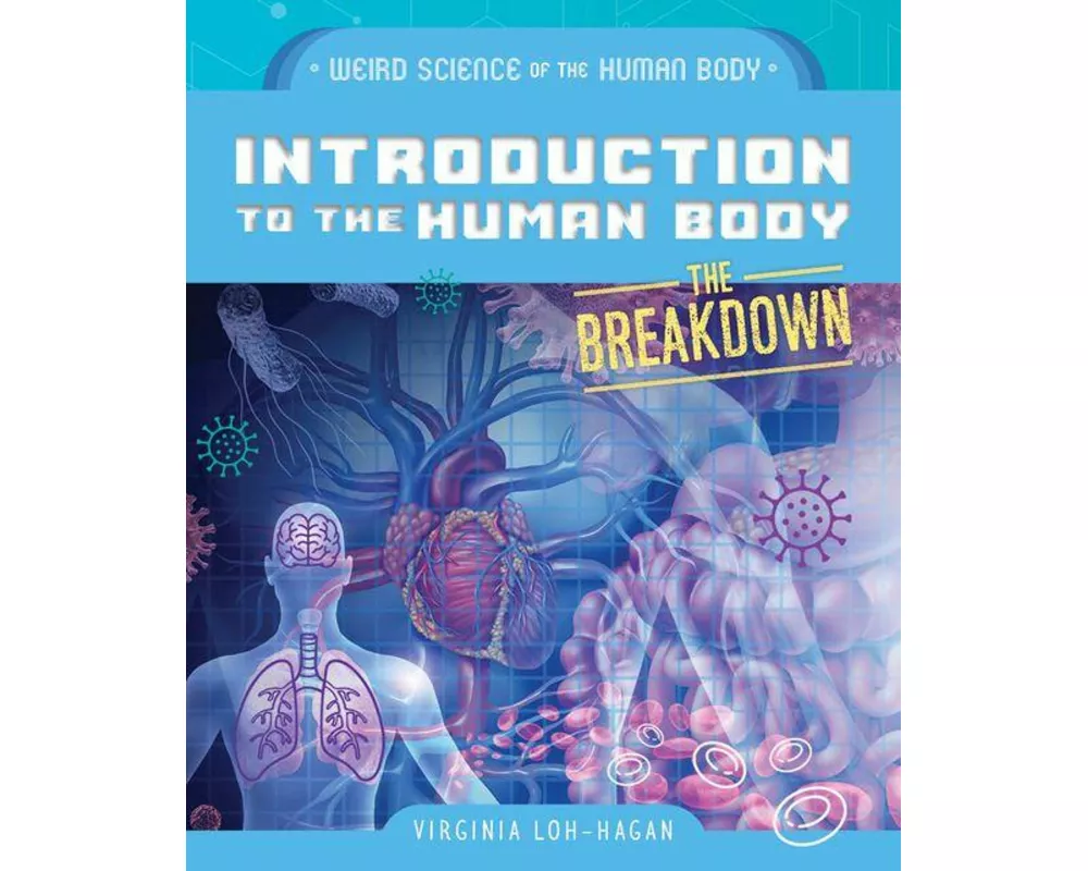Introduction to the Human Body