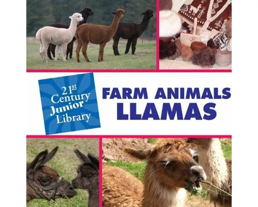 Farm Animals: Llama