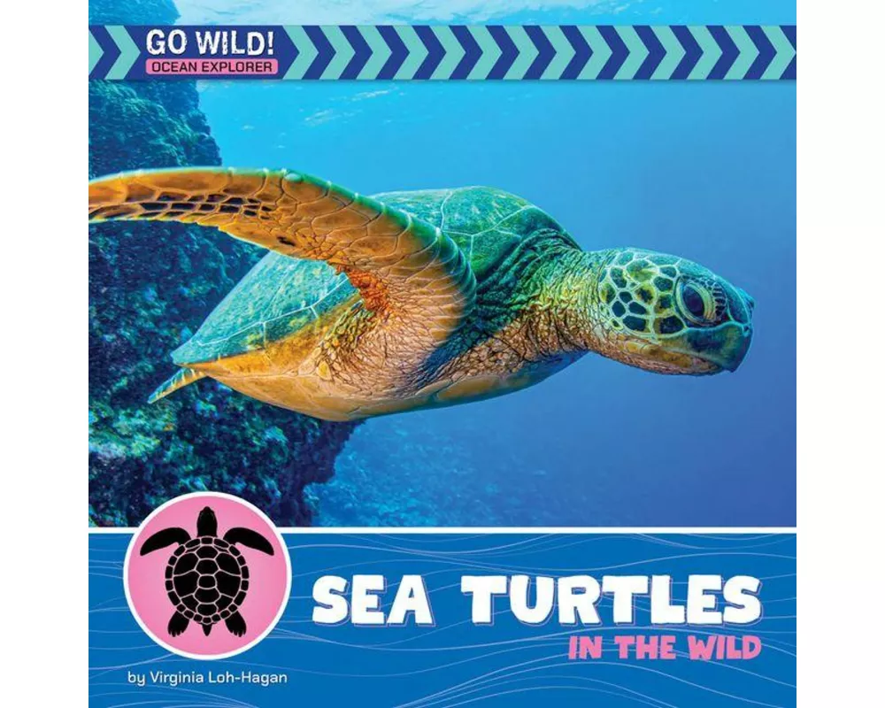 Sea Turtles in the Wild
