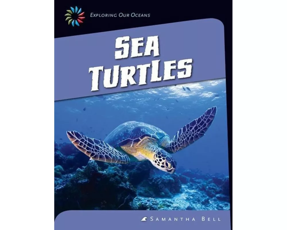 Sea Turtles