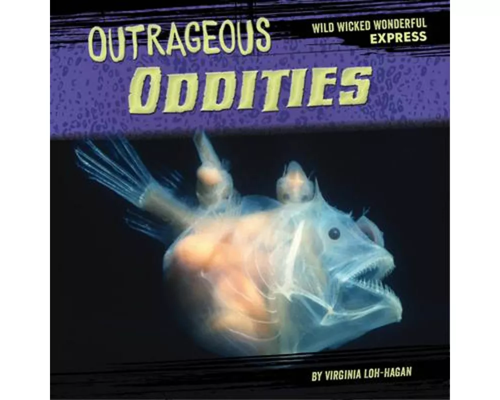 Outrageous Oddities