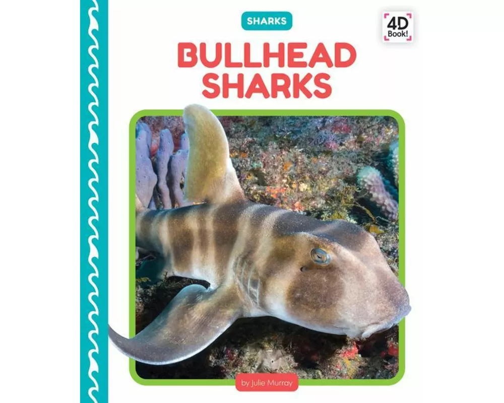 Bullhead Sharks