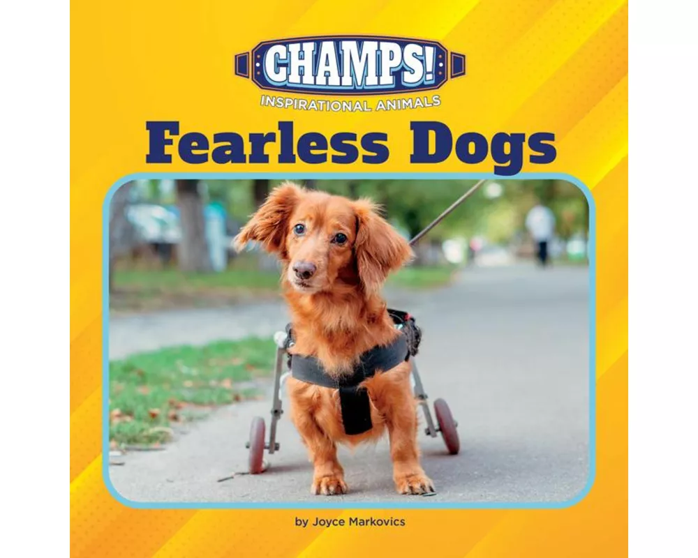 Fearless Dogs