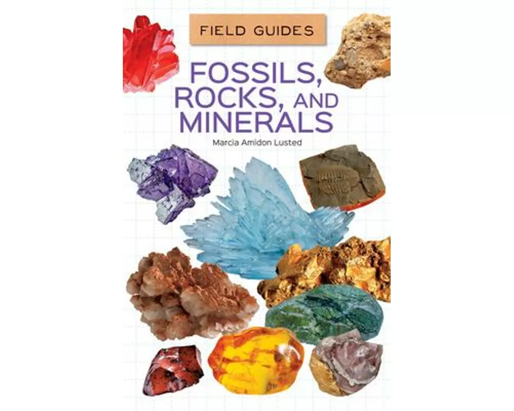 Fossils, Rocks, and Minerals