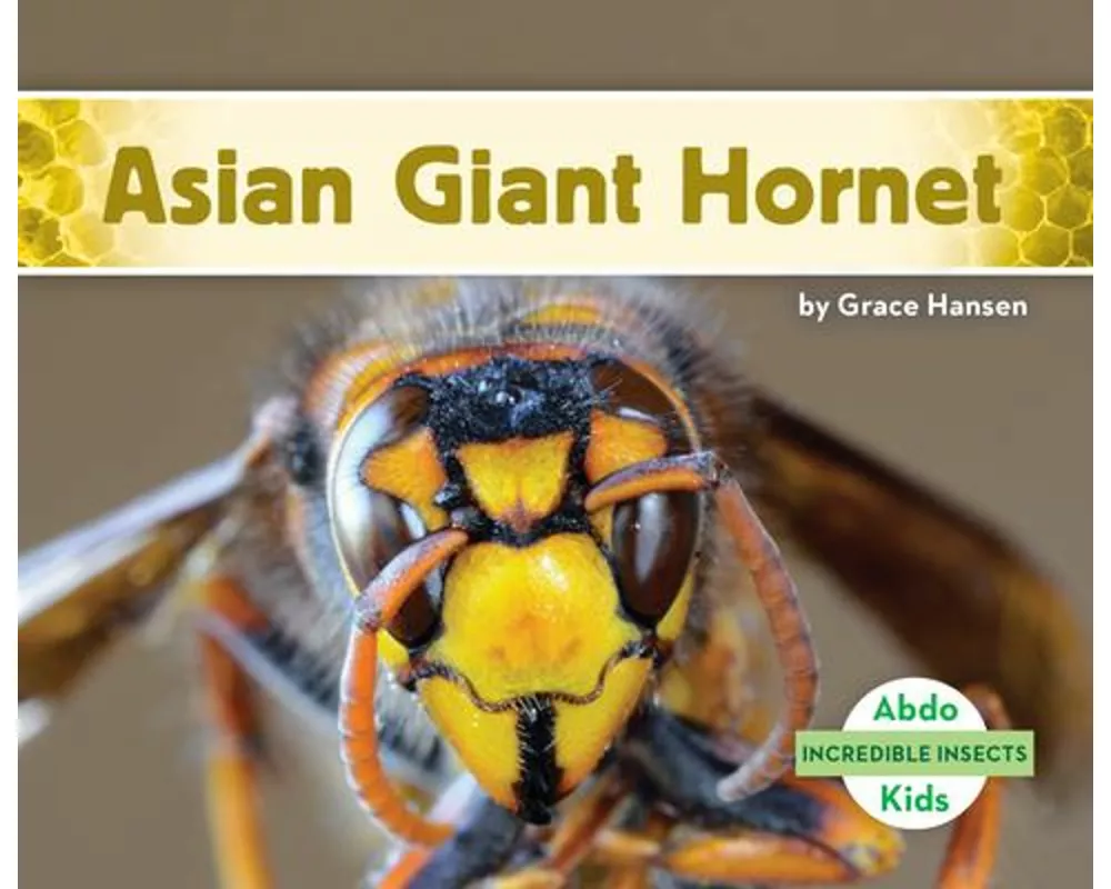 Asian Giant Hornet