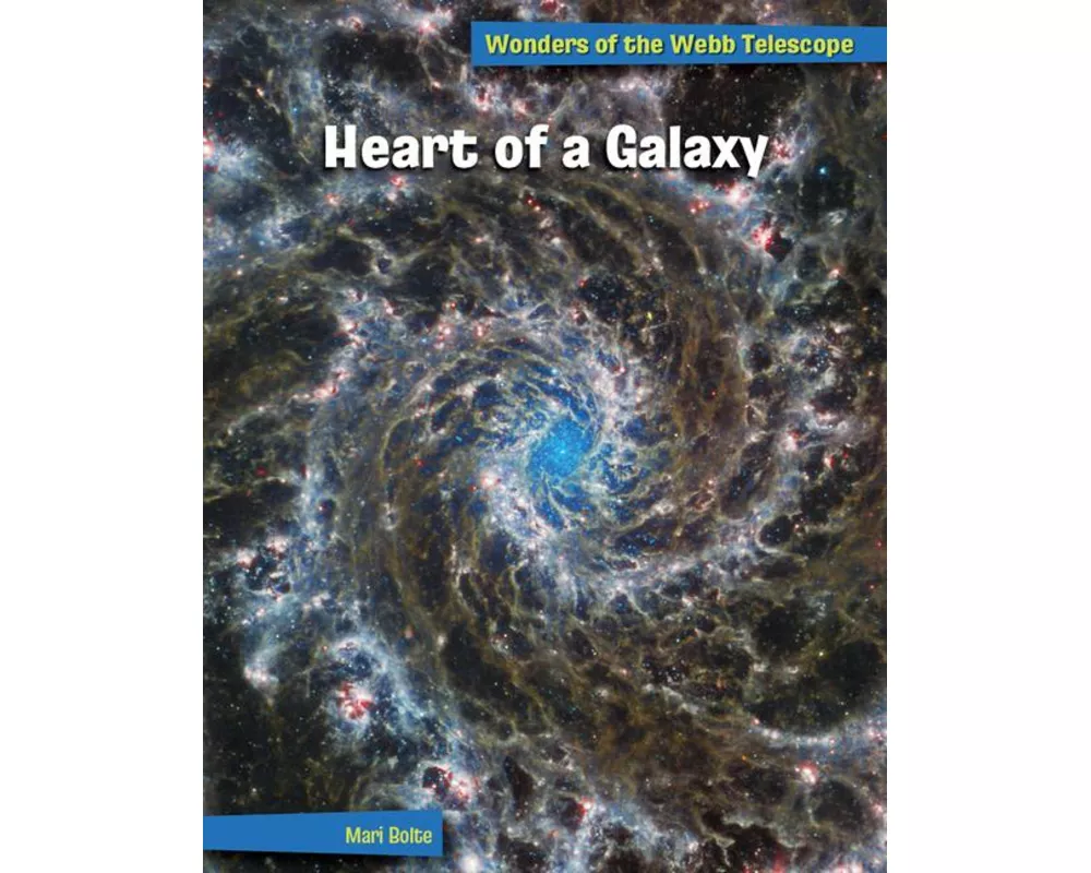 Heart of a Galaxy