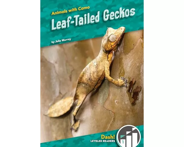 Leaf-Tailed Geckos