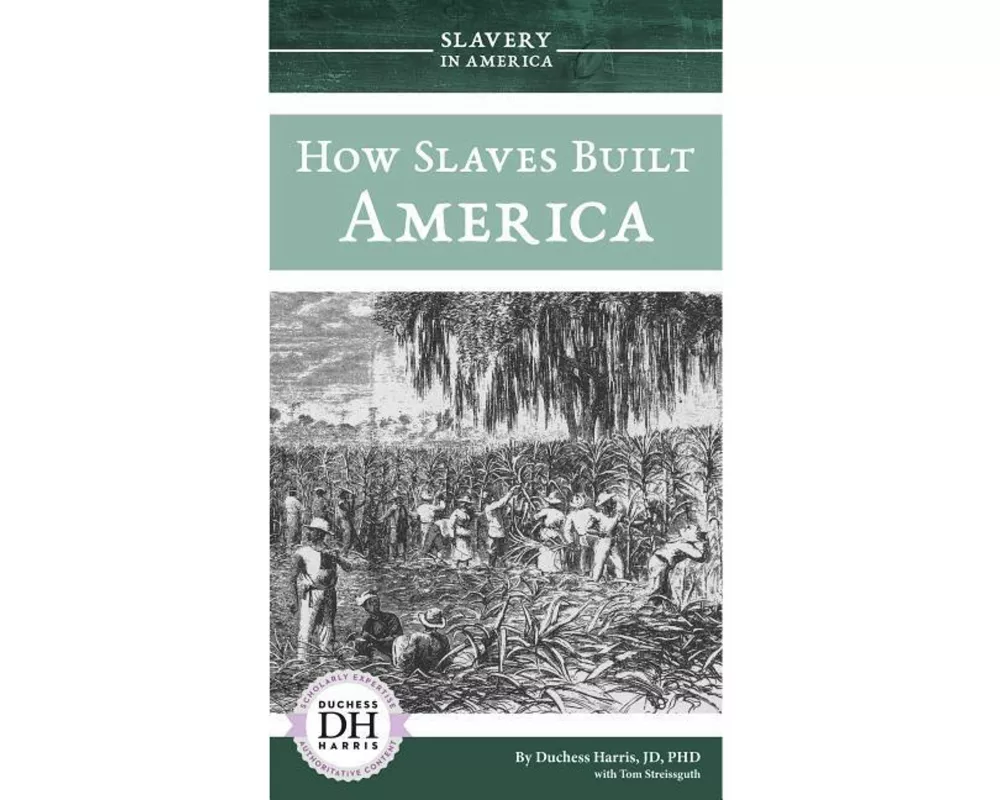 How Slaves Built America
