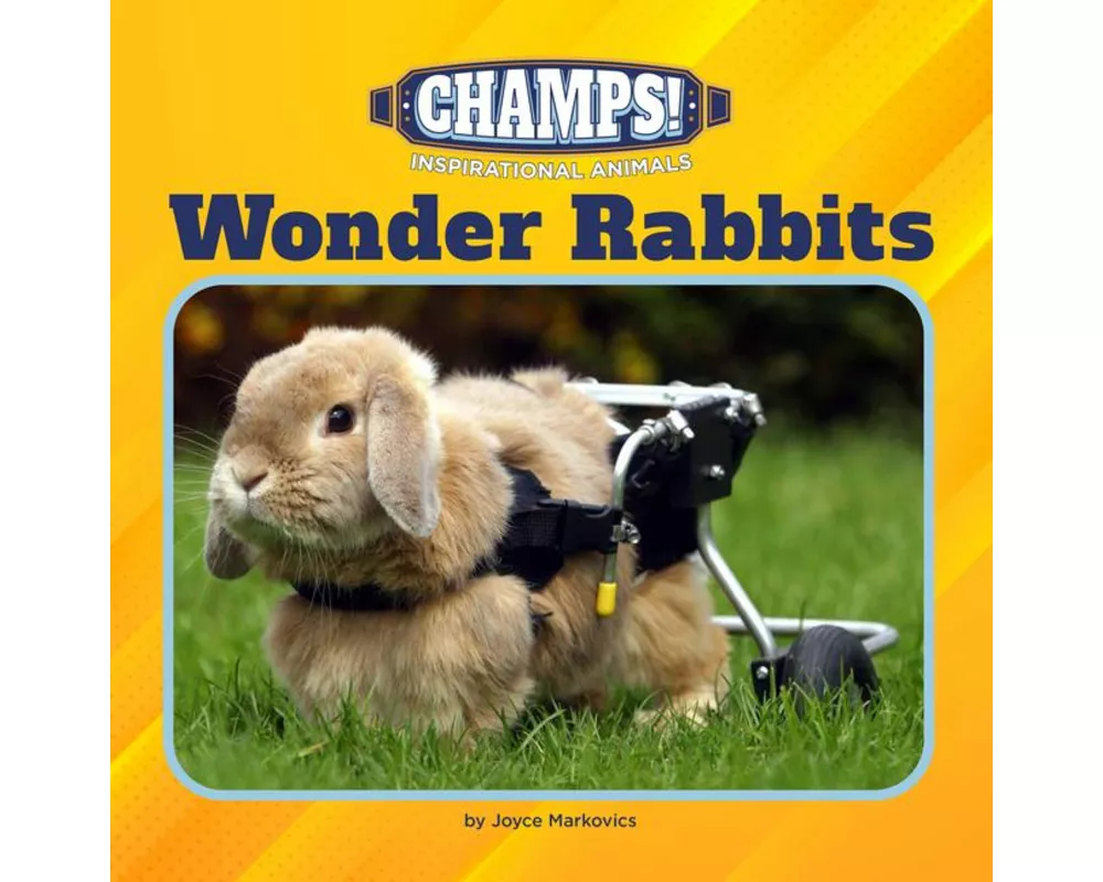 Wonder Rabbits