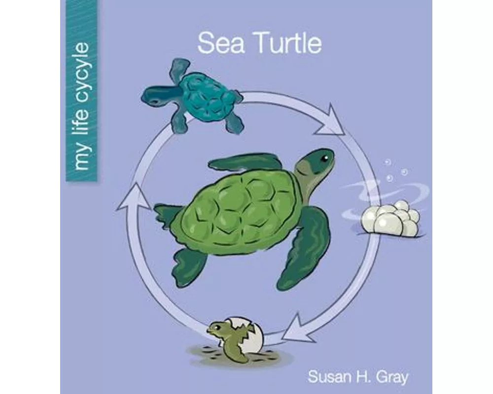 Sea Turtle