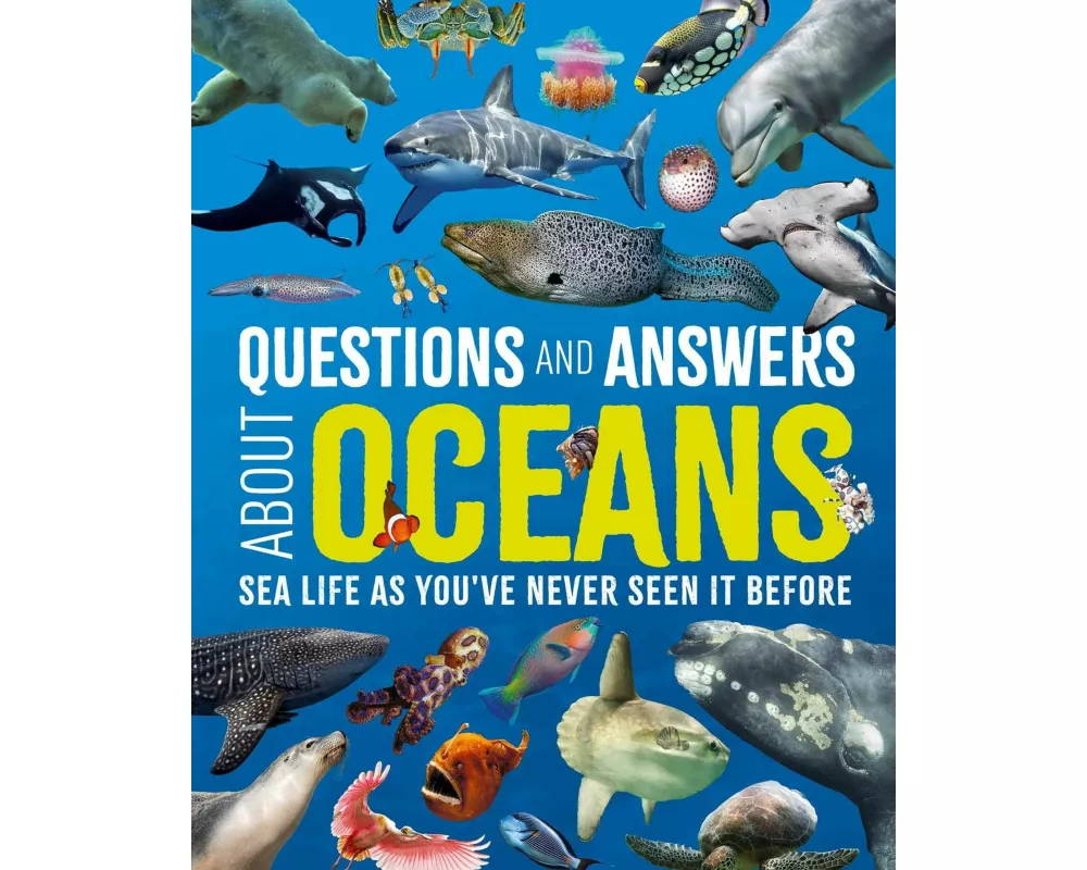 Questions and Answers About Oceans