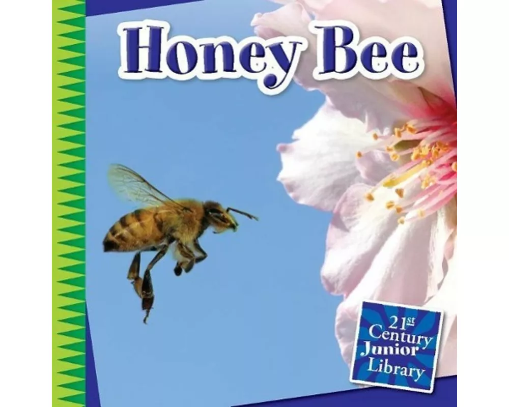 Honey Bee