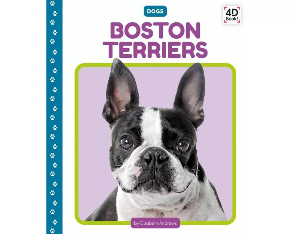 Boston Terriers