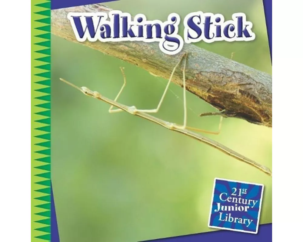 Walking Stick