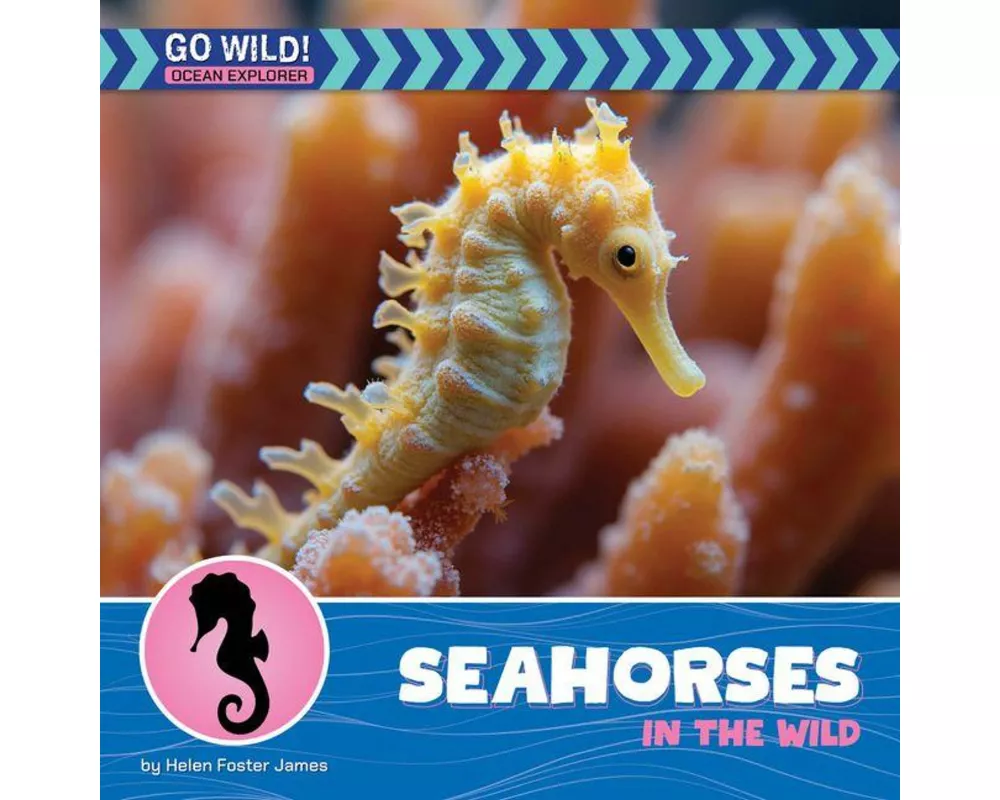 Seahorses in the Wild