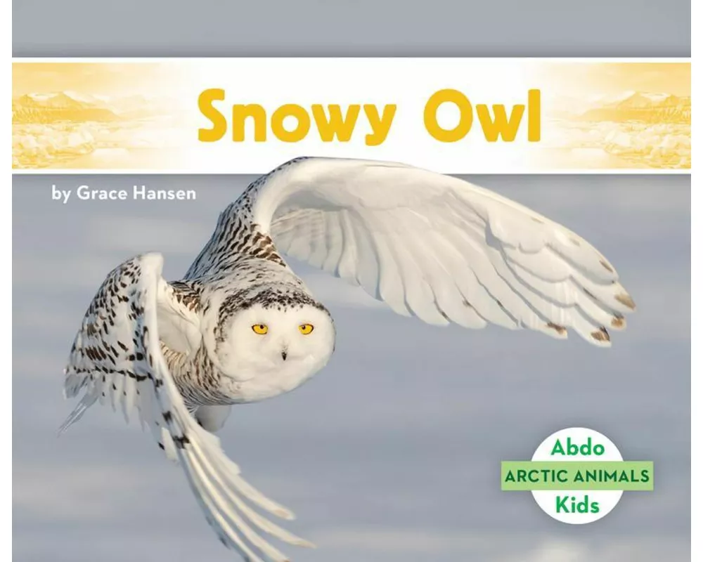 Snowy Owl