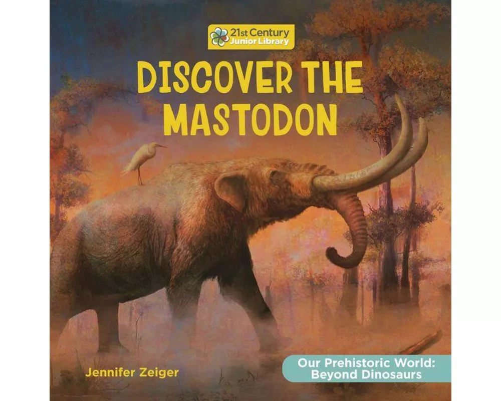 Discover the Mastodon