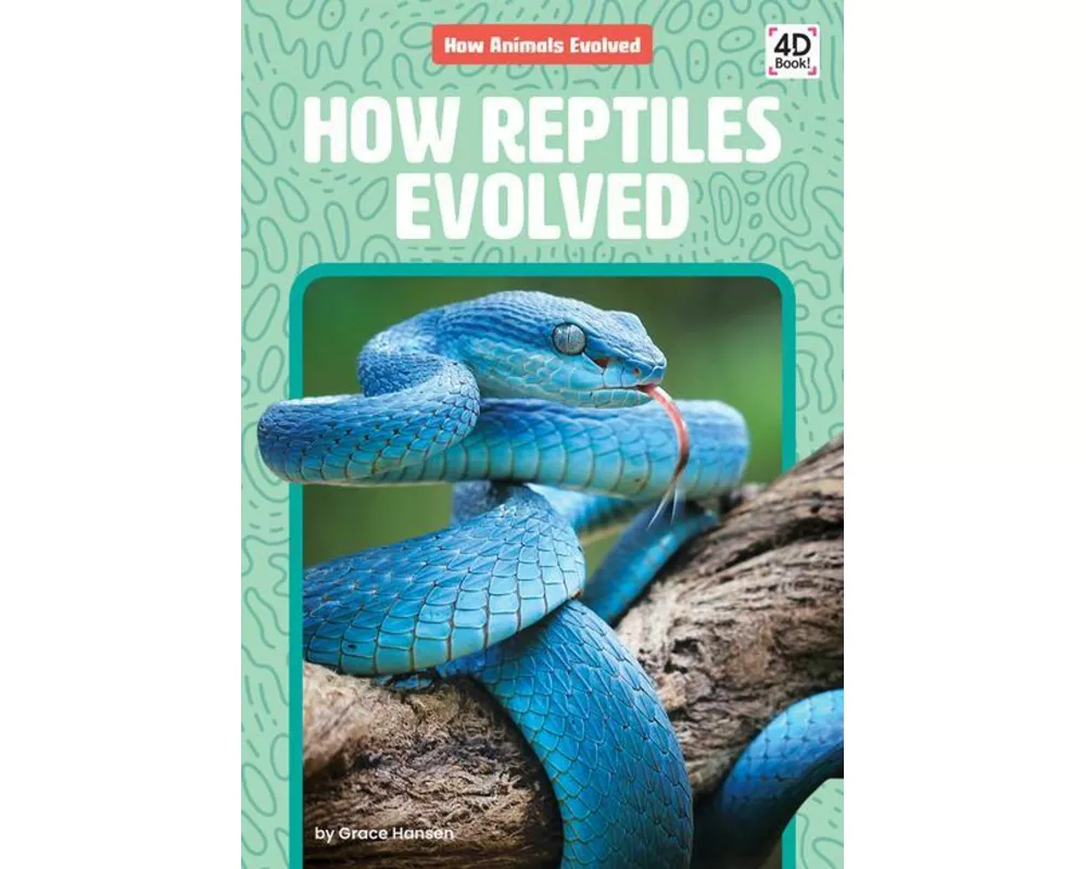 How Reptiles Evolved