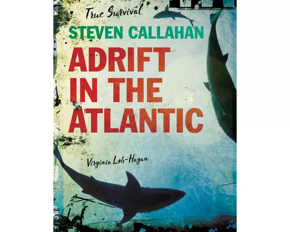 Steven Callahan