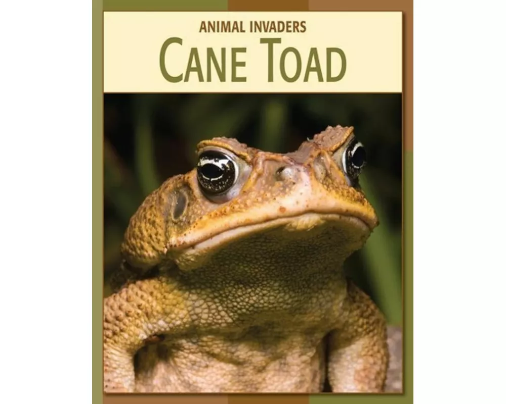 Cane Toad