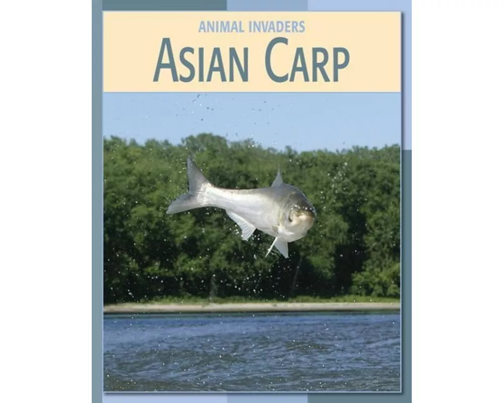 Asian Carp