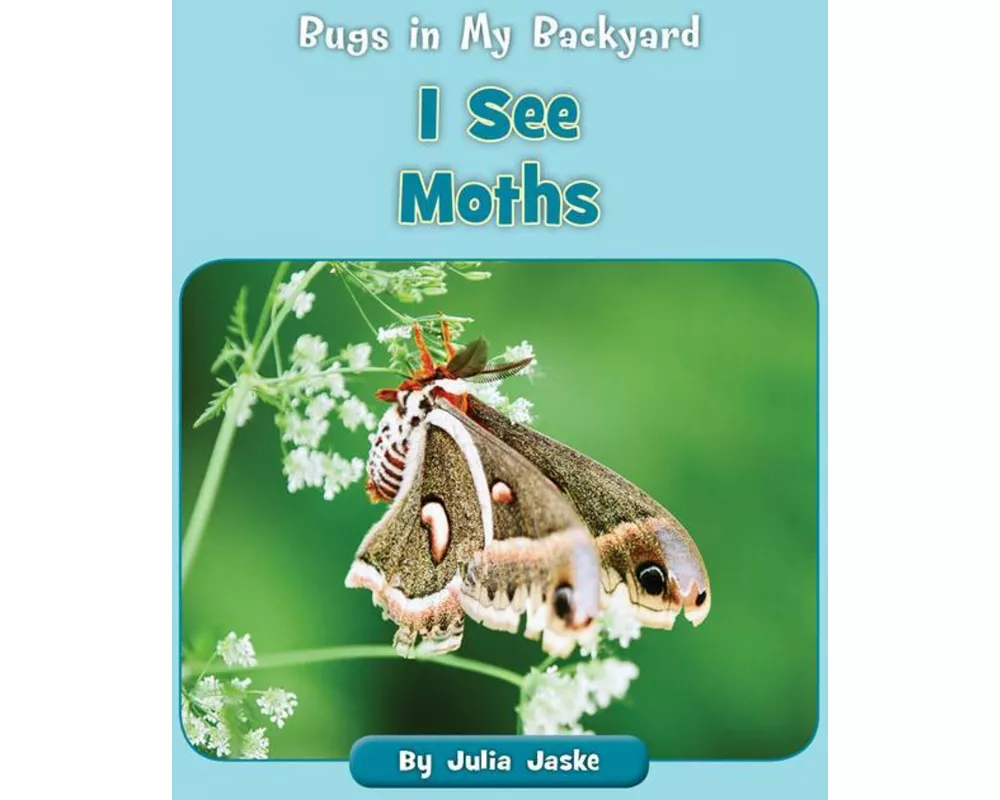 I See Moths