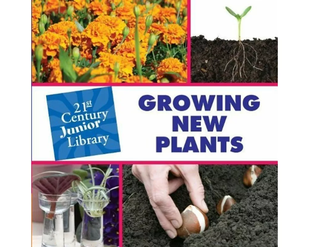 Growing New Plants