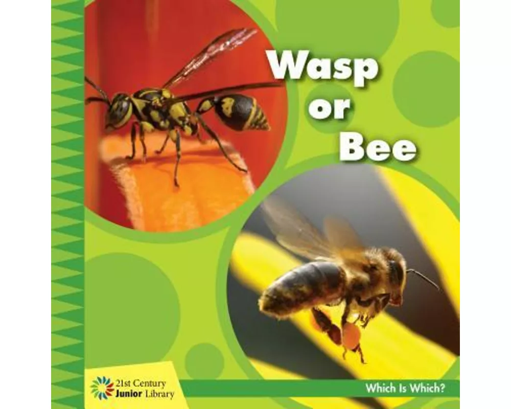 Wasp or Bee