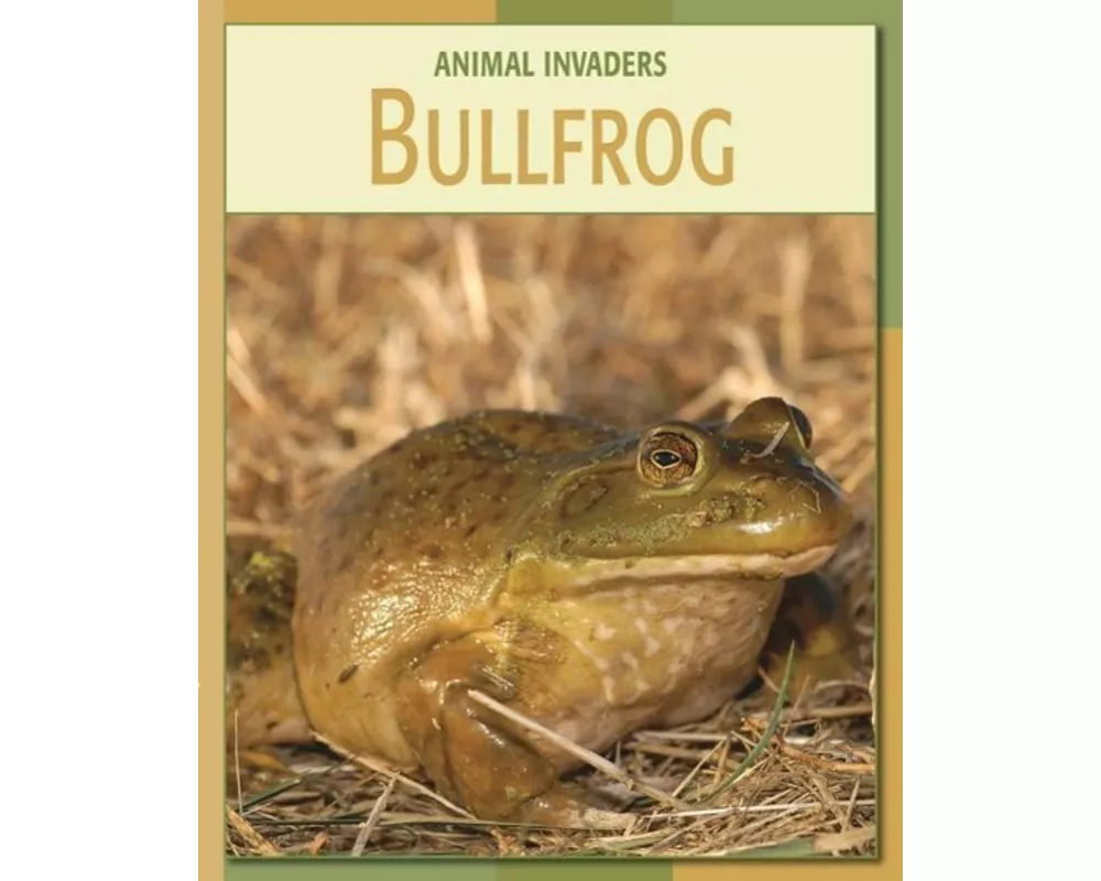 Bullfrog