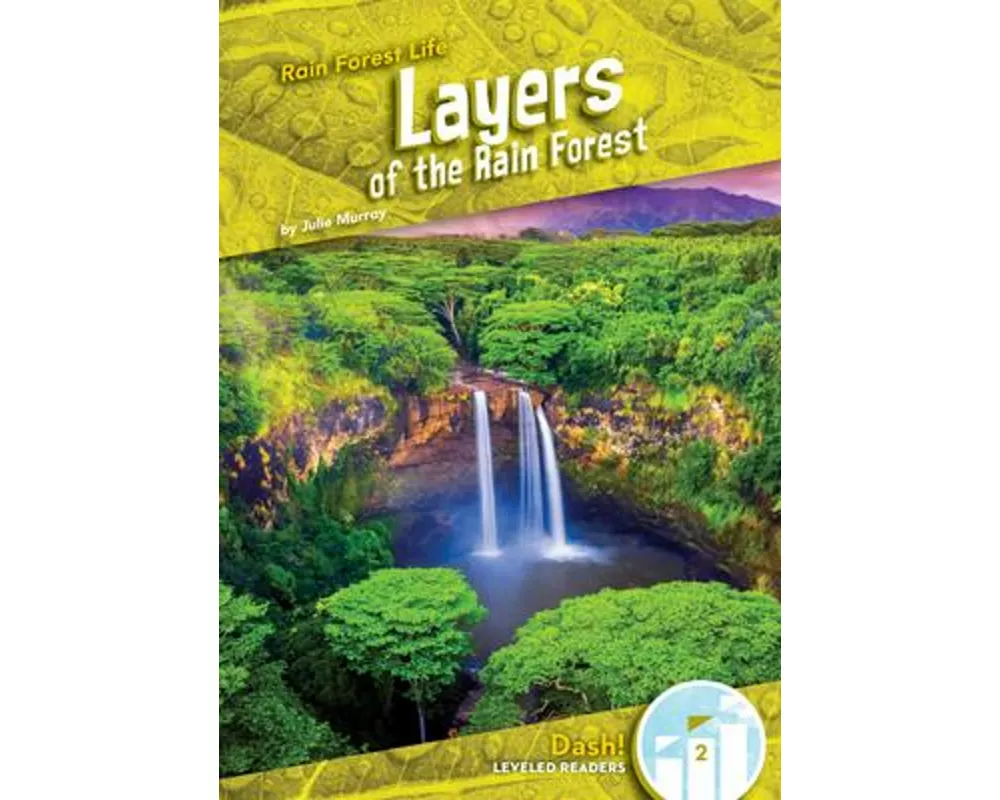 Layers of the Rain Forest