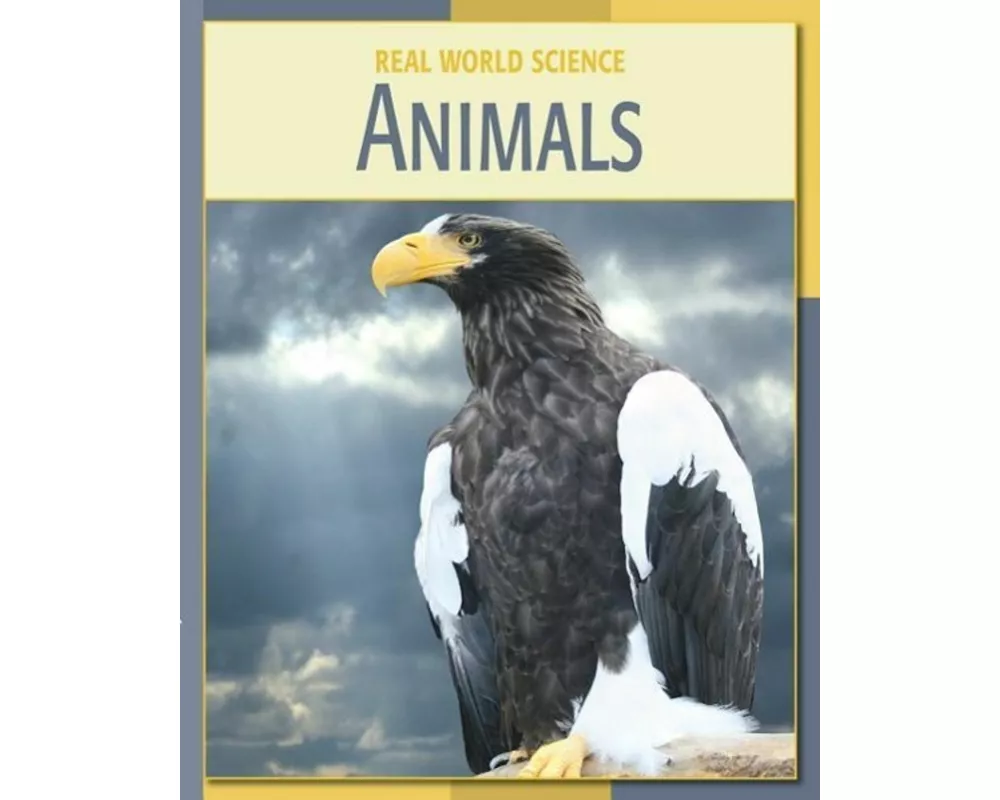 Animals