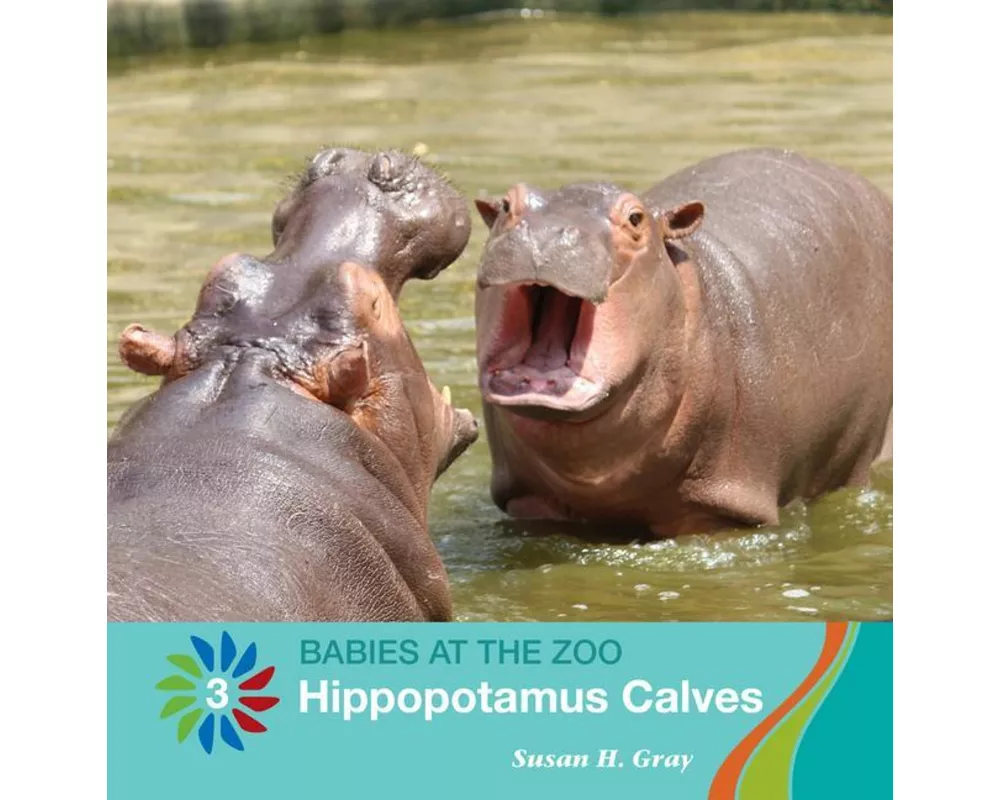 Hippopotamus Calves
