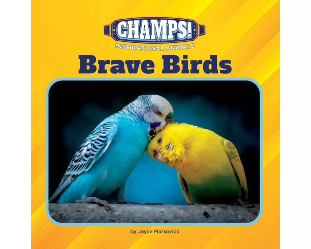 Brave Birds