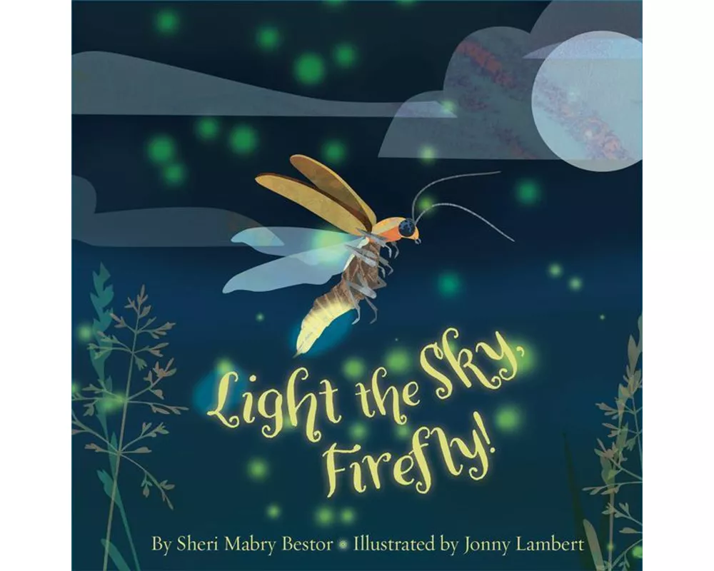 Light the Sky, Firefly