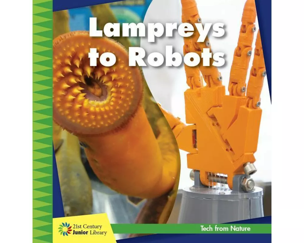 Lampreys to Robots