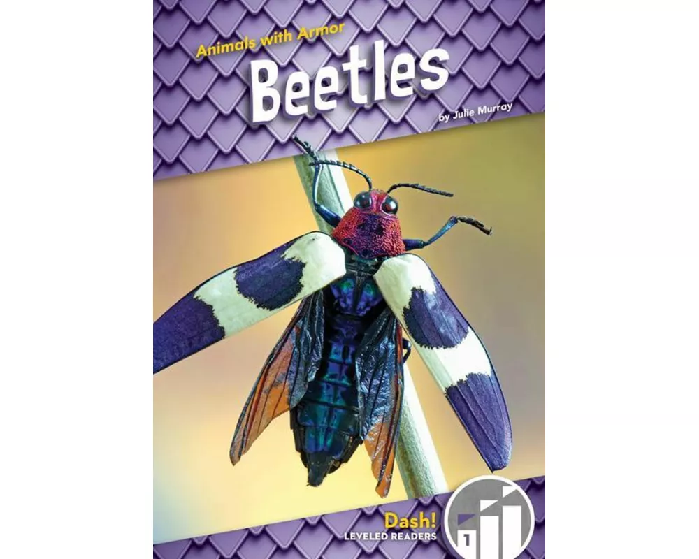 Beetles