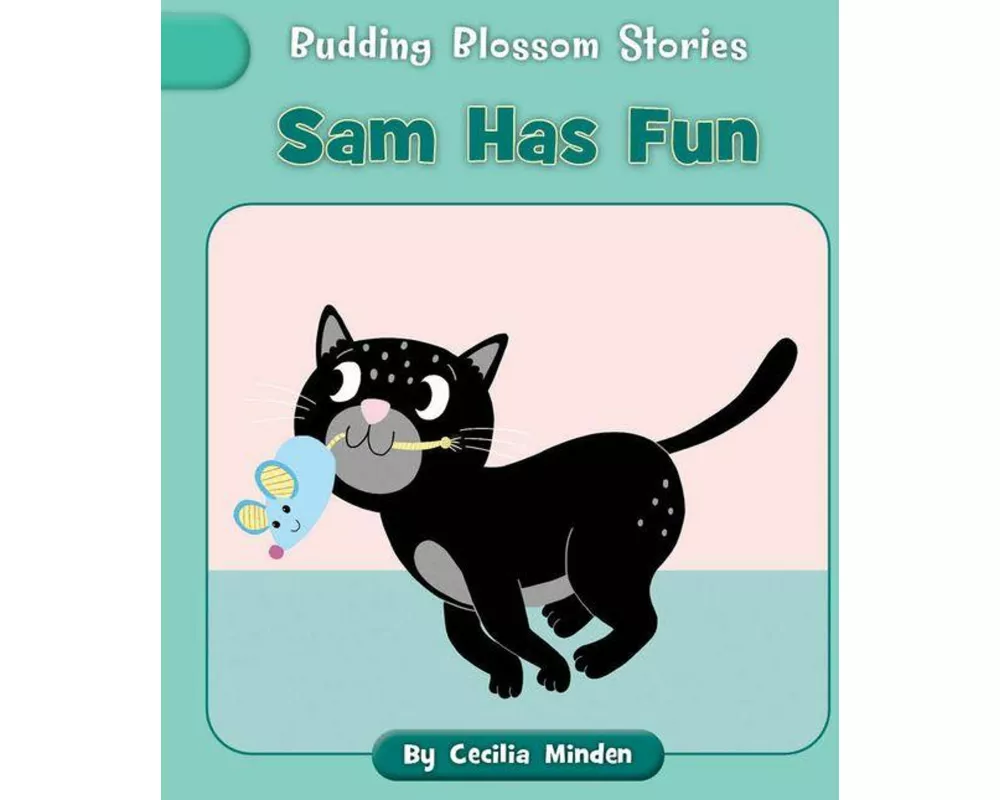 Sam Has Fun