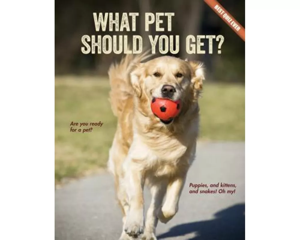 What Pet Should You Get?
