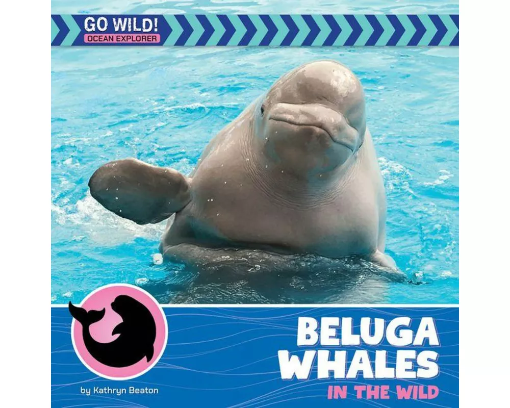 Beluga Whales in the Wild