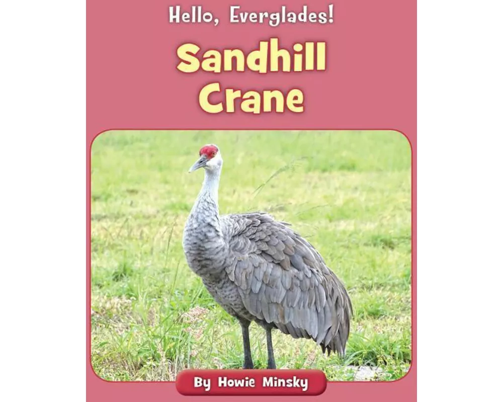 Sandhill Crane