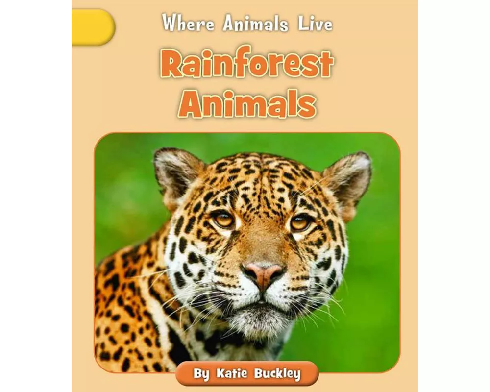 Rainforest Animals