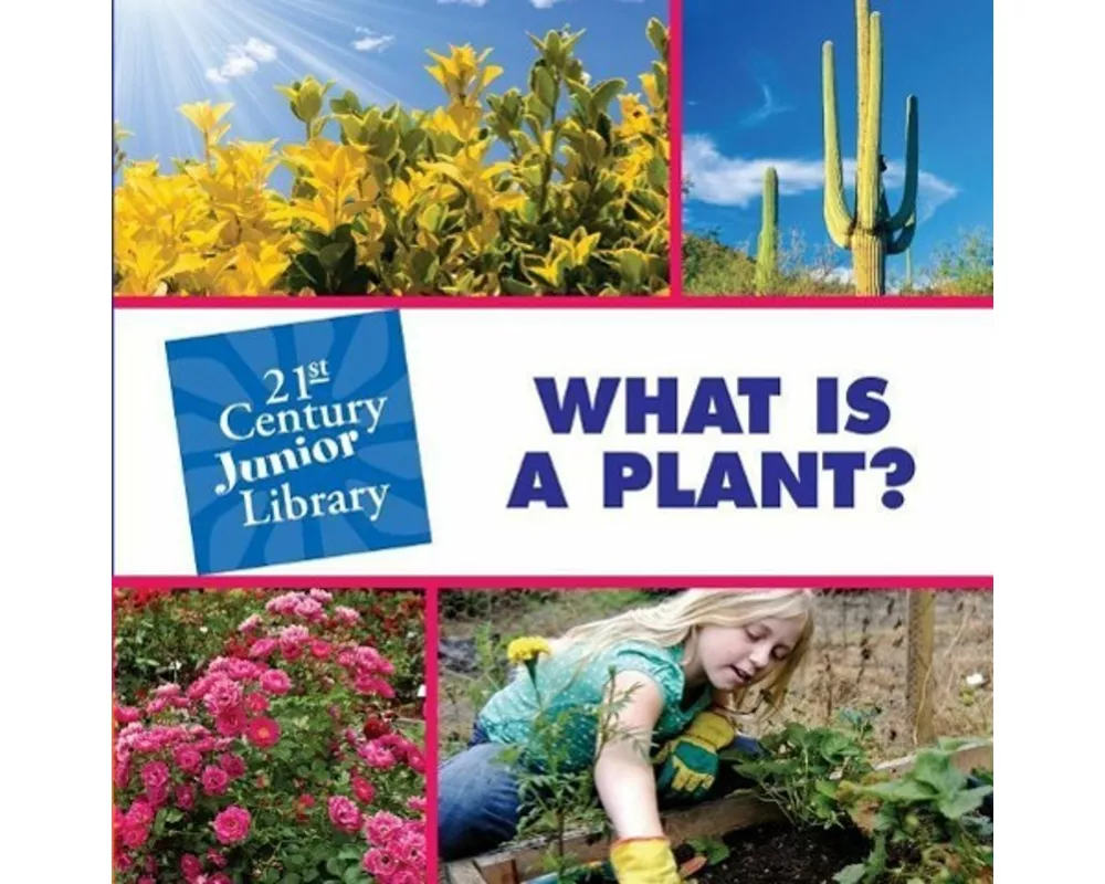 What is a Plant?