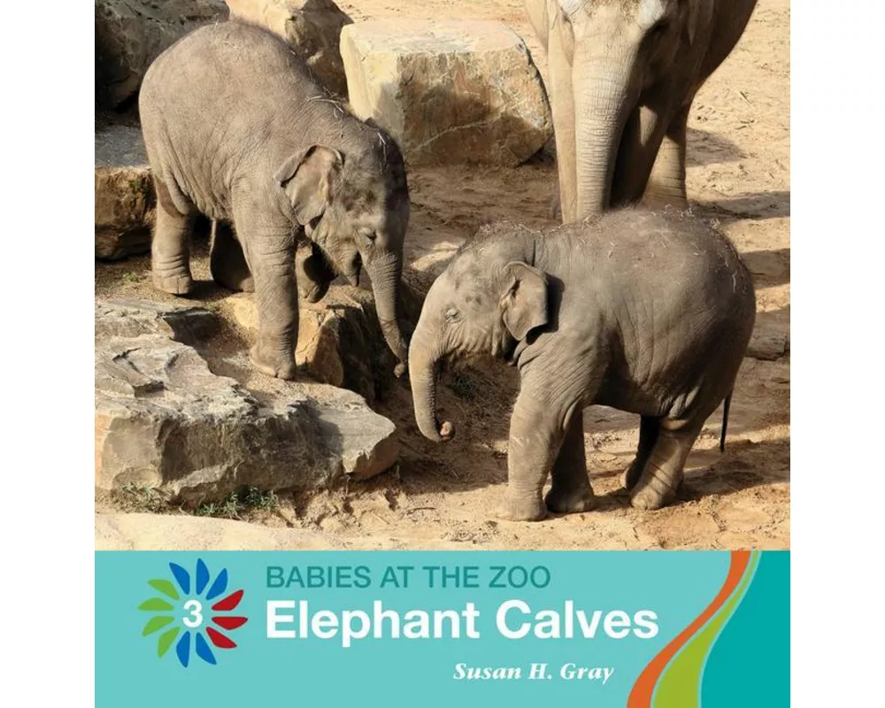 Elephant Calves