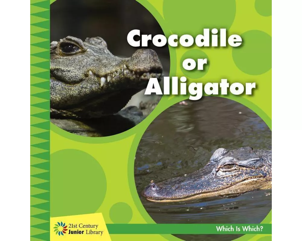 Crocodile or Alligator