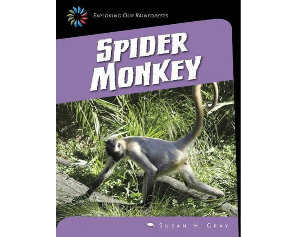 Spider Monkey