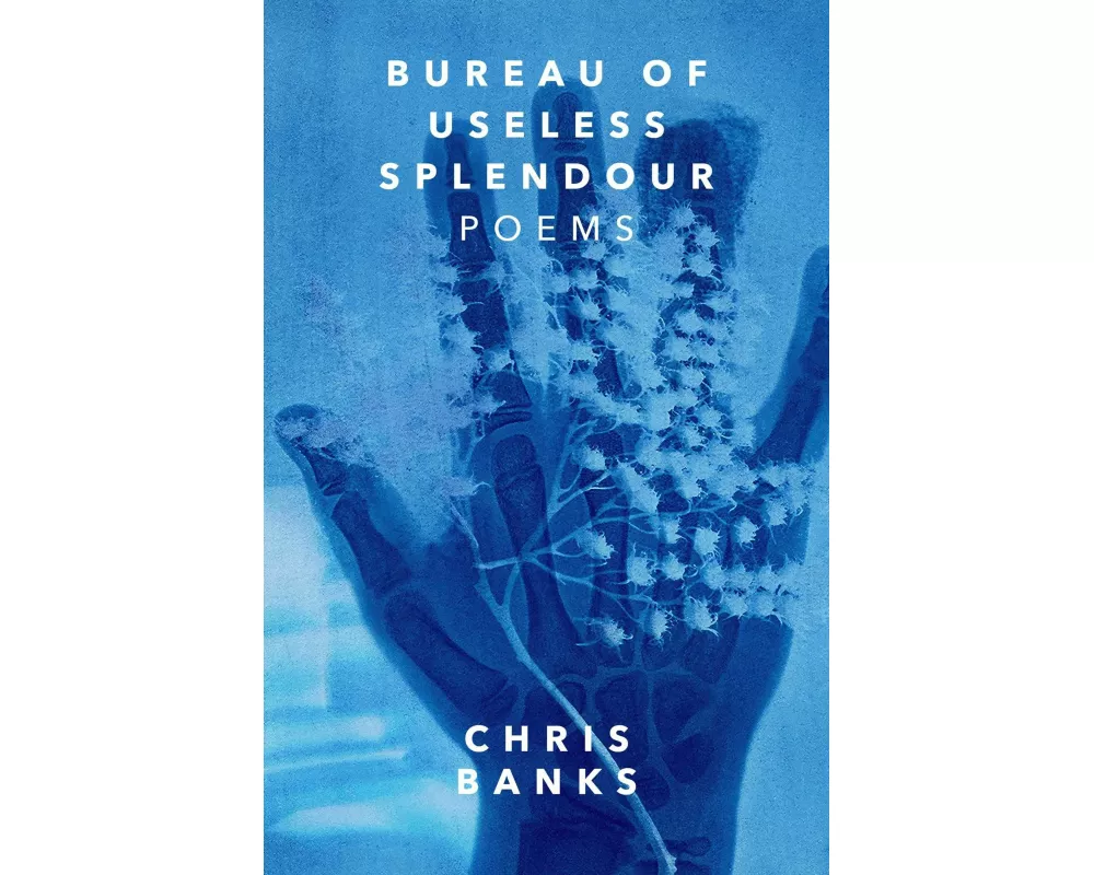 Bureau of Useless Splendour