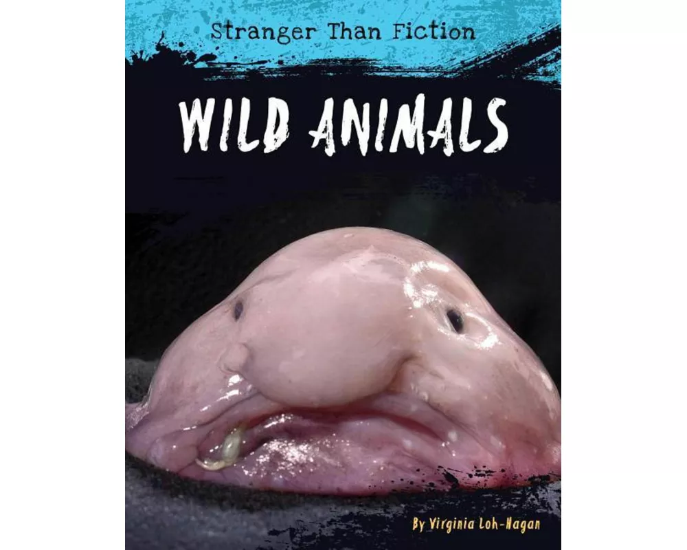 Wild Animals