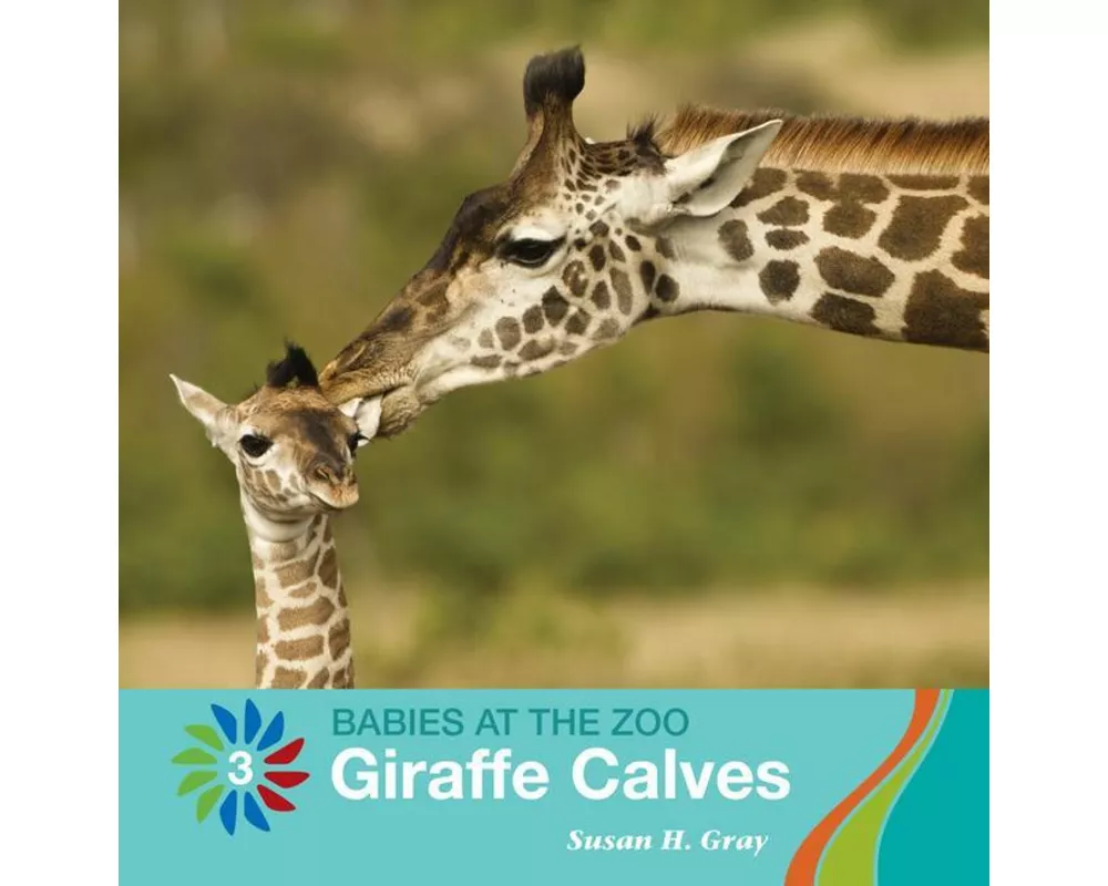 Giraffe Calves